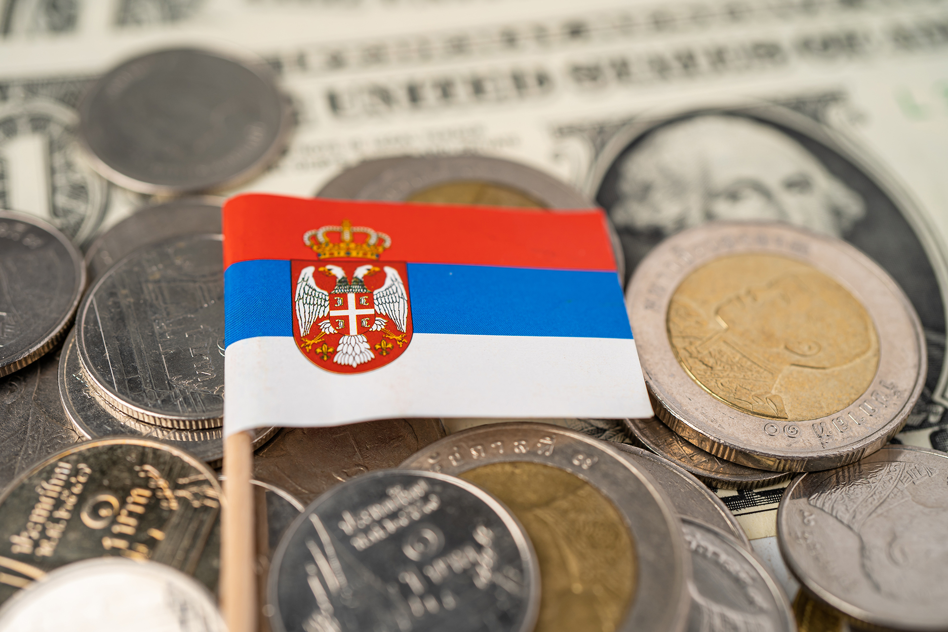Как открыть бизнес в Сербии